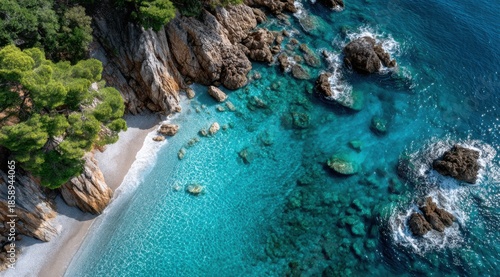 aerial view of the rugged coastline near a beach, a cat exploring a rocky cove with crystal clear waters