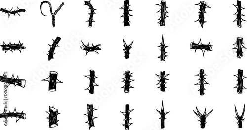Collection of Black and White Line Art Thorns and Branches for Design