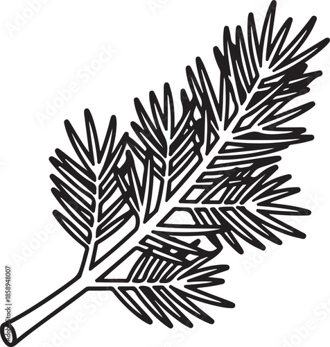A detailed black and white line art vector of a coniferous evergreen branch, featuring realistic needle clusters, ideal for winter, nature, and botanical holiday designs.