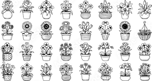 Black and White Line Art Collection of Various Potted Flowers and Plants, Floral Vector Set