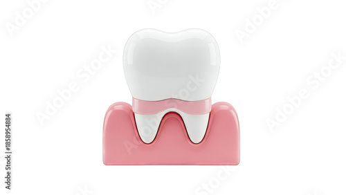 3D Illustration of a Healthy Tooth