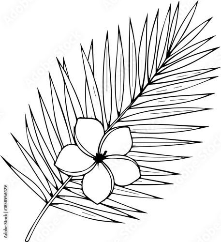 Delicate tropical blossom on palm frond, creating a sense of island paradise, ideal for spa, wellness, or vacation designs, originally a vector graphic