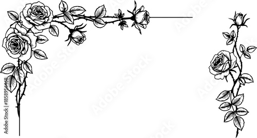 Elegant rose floral corner and side border design element, perfect for invitations, stationery, or decorative projects with a classic, timeless touch