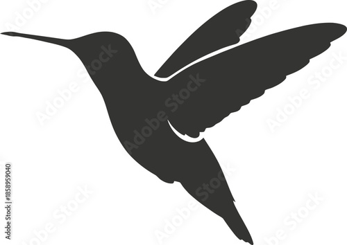 Silhouette Hummingbird Vector Graphic Illustration Flying Bird Isolated on White Background Design Element