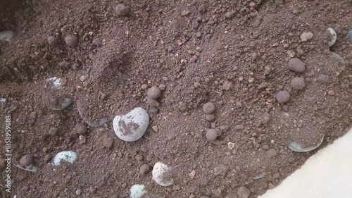 Rotation view of soil on the ground with stones