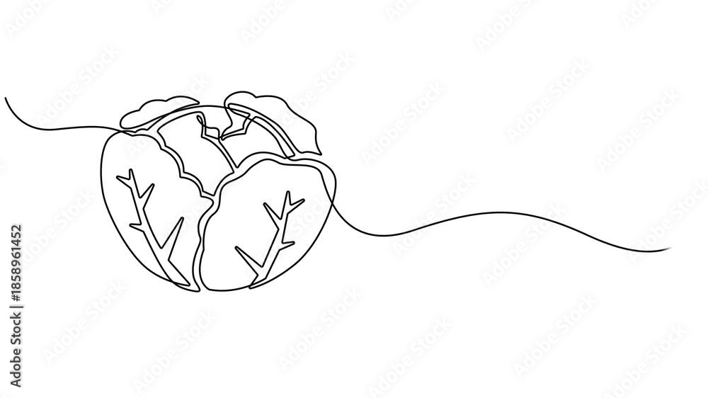 Cabbage head, cole single line animated illustration. One continuous ...