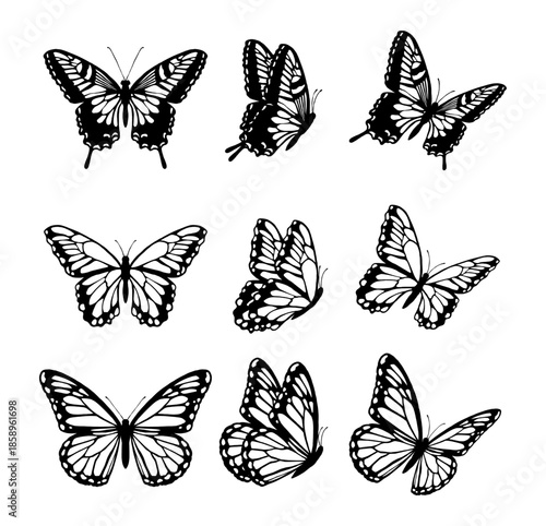 Collection of black butterfly silhouettes and hand drawn monarch butterfly icons isolated on white background for nature decoration