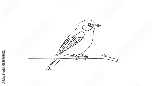 Minimalist illustration of a small bird perched on a thin branch, rendered in a clean, single-line art style