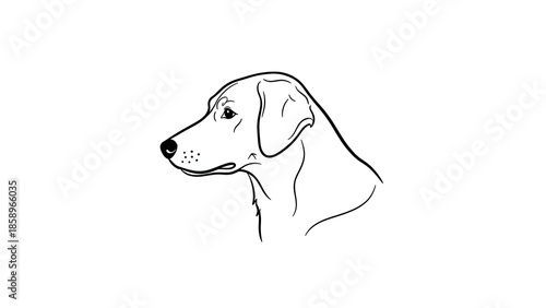 Line drawing of a dog's head in profile, minimalist illustration of a canine companion