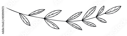 Minimalist hand drawn botanical branch with delicate leaves providing a fresh natural aesthetic for various decorative graphic design and branding projects