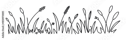 Simple line drawing of natural meadow plants and various types of grass, perfect for adding an organic touch to ecologythemed educational materials and natureinspired digital graphics.