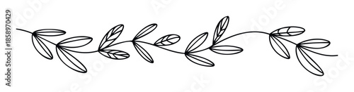 Minimalist hand drawn botanical leafy branch illustration, perfect for elegant wedding invitations, decorative greeting cards, natural branding, or organic packaging designs.