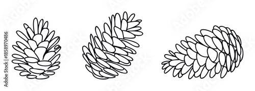 Stylized outline renderings of pine cones presented in different orientations offering versatile graphic resources for winter holiday decor, natural craft projects, or rustic branding