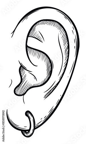 Human ear with an earring rendered in a detailed vintage sketch style, perfect for educational materials, fashion insights, or body modification themes.