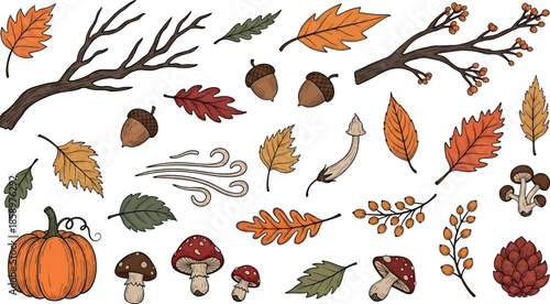 Vector illustration of various autumnal elements, including leaves, acorns, mushrooms, and a pumpkin, arranged on a white background in a colorful and seasonal composition.
