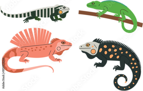 Colorful Iguana And Lizard Species Set Exotic Reptile Character Vector Illustration For Tropical Nature And Zoology Science Design