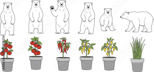 Collection of white polar bear line art illustrations and colorful potted garden vegetables like tomatoes and peppers isolated on white background for nature design
