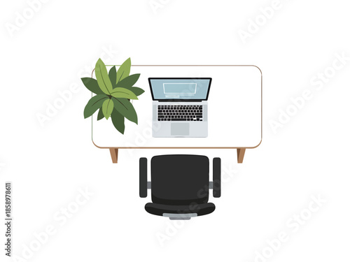 Overhead View of Modern Workspace with Laptop and Plant
