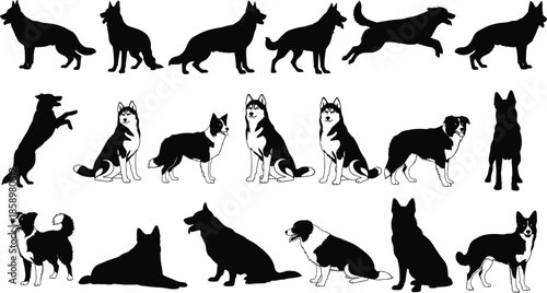 Detailed Black and White Vector Illustration Set Featuring Various Canine Breed Silhouettes and Active Poses for Professional Design