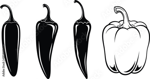 Hand Drawn Fresh Chili and Bell Pepper Collection Featuring Hot Jalapenos and Sweet Capsicum, CAD Drawing Flat Vector Illustration, Line Art