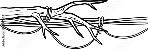 Tree branch silhouette, wire loops, thorns, black and white illustration, nature entangled, minimal vector, abstract constraint, artistic tension