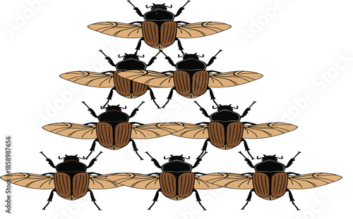 Symmetrical triangular composition of flying beetles with open wings and detailed brown shells isolated on white background for nature and entomology design.