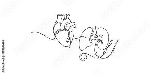 Continuous one line drawing of Anatomical heart and kidneys with medical tubing.
