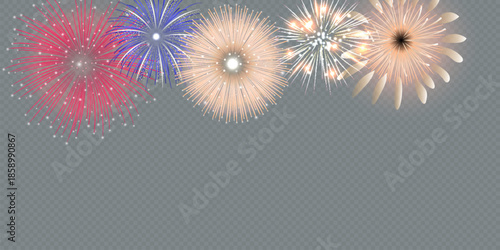 Vector Brightly Colorful Fireworks on the background of the night sky.