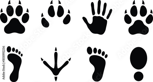 Animal paw prints and human hand footprints silhouette set isolated icons for wildlife tracking, nature signs, symbols collection vector black