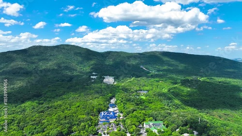 Nanjing Purple Mountain Zhongshan Mausoleum Scenic Area Forests 4K Aerial