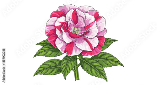 Illustration of a purple hyacinth flower with green leaves.