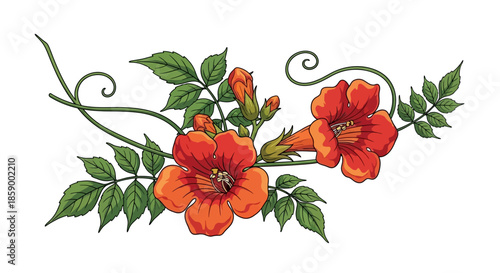 A single purple hyacinth flower with green leaves, isolated on white.