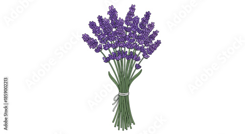 Colorful bouquet of sweet pea flowers with a simple line drawing.