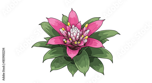 Close-up of a vibrant pink Desert Rose flower with green leaves.