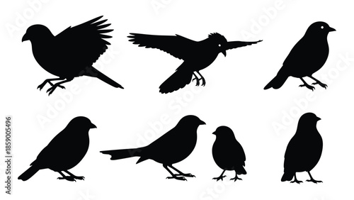 Silhouettes of various birds in flight and perched positions a minimalistic design