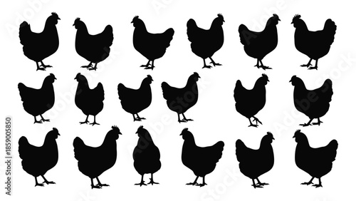 A collection of silhouetted chickens arranged in a grid pattern on a white background