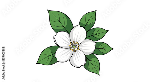 Wallpaper Mural Illustration of a pink peony flower and a bud on white background. Torontodigital.ca