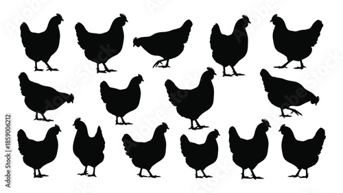 A collection of silhouetted chickens depicted in various poses and arrangements