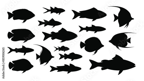 A collection of black silhouettes depicting a variety of different fish species
