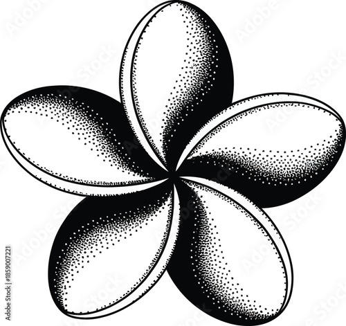 A beautiful hand-drawn plumeria flower illustration using black stippling shading technique
