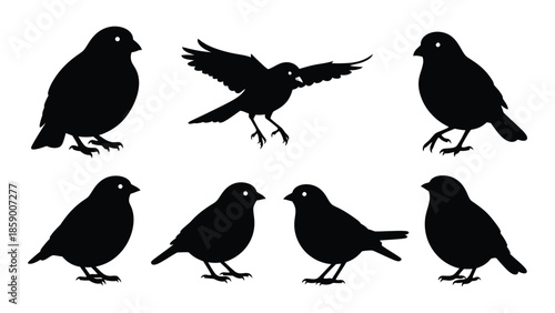 Silhouette collection of various birds in different poses and viewpoints black and white