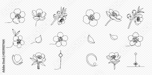 Set of delicate line art illustrations featuring manuka flowers, buds, and petals, perfect for elegant design projects.