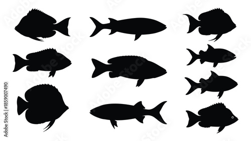 A collection of black fish silhouettes of varying shapes and sizes against white background
