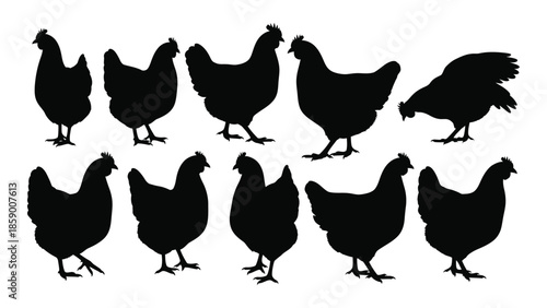 A collection of black silhouette chickens in various poses and arrangements