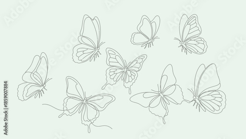 A collection of delicate line art illustrations of various butterflies in flight, set against a pale green background.
