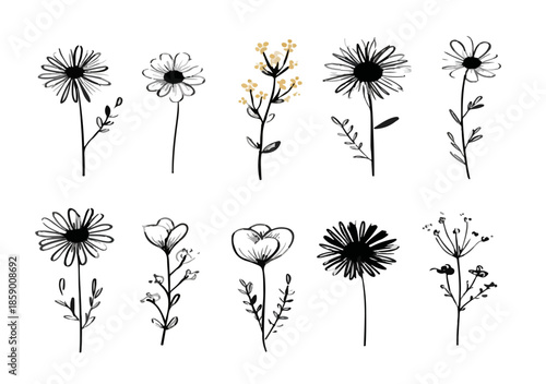 다양한 스타일의 손으로 그린 투명한 꽃 일러스트 모음