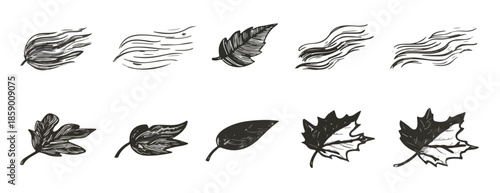 다양한 스타일의 나뭇잎과 바람에 날리는 잎사귀 일러스트 아이콘 모음