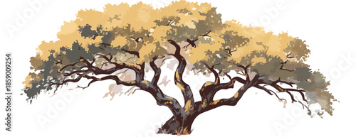 단풍으로 물든 오래된 나무의 웅장한 모습, 투명한 배경에 그려진 자연의 아름다움