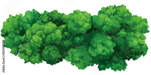 하늘에서 본 울창한 녹색 나무들의 모습, 투명한 배경에 자연 그대로의 모습을 담았습니다.