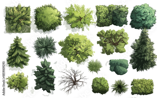 다양한 종류의 나무와 관목의 평면도, 조경 디자인 및 건축 시각화에 이상적입니다.